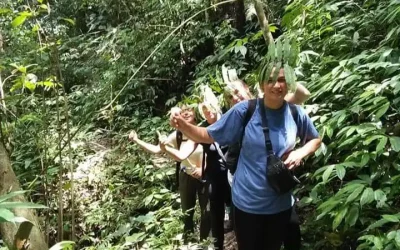 Jungle trekking