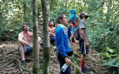 Photo Gallery Ketambe Jungle Tours